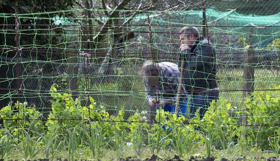 Un vecino de Monteana avisó a los técnicos de Desarrollo Rural, que ayer inspeccionaron una plantación y el material que la familia tenía almacenado en una finca. 