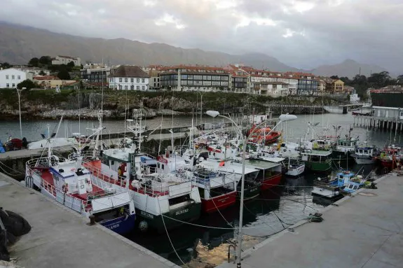 El puerto pesquero llanisco aloja estos días cerca de una veintena de embarcaciones casi hacinadas ante la falta de espacio. 