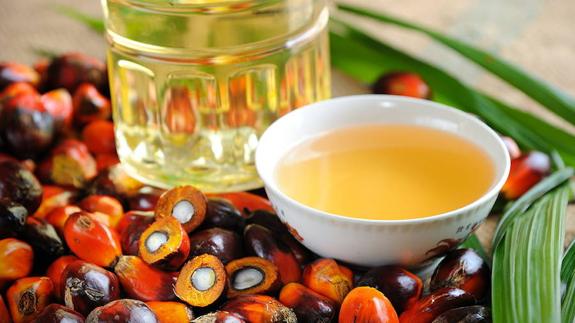 ¿Qué es el aceite de palma y en qué productos se encuentra?