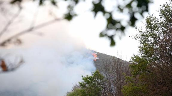El incendio que se produjo en la ladera del Naranco.