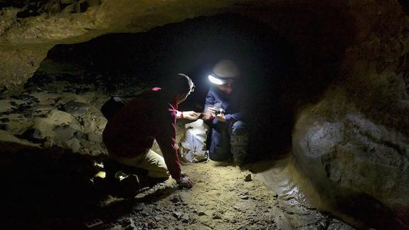 Un momento de la recogida de material sedimentado en la cueva de El Sidrón.