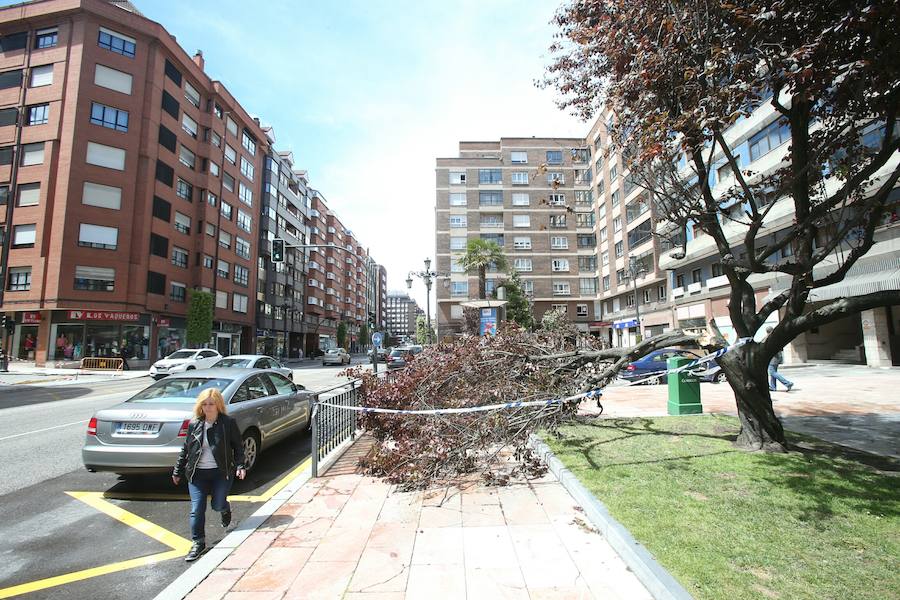 Asturias dice adiós a abril con nevadas, vientos y fenómenos costeros