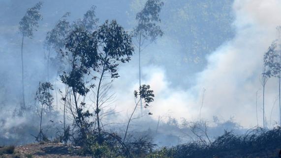 Un incendio forestal en Llanes el pasado abril. 