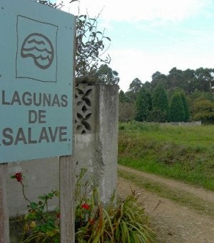 Dagilev calcula que Salave alberga oro por valor de 2.500 millones de dólares