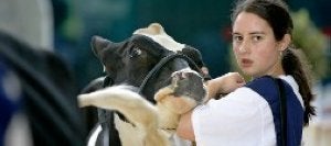 Nervios. Una joven ganadera sujeta a su vaca antes de que haga el paseo por la pista para que sea valorada por el jurado.