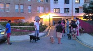 Usuarios de la plaza de León XIII y sus animales, después de encontrar el tocino envenenado. ::
E. C.