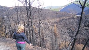 Colmenar. El cortín, lo mismo que la calzada, sufrió las consecuencias de los fuegos que asolaron la zona recientemente.