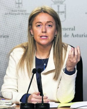 Cristina Coto, en una rueda de prensa en la Junta General. ::
EFE