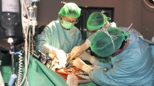 Trasplante de hígado practicado en el Hospital Central de Asturias. ::                             JESÚS DÍAZ