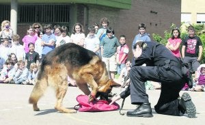 Uno de los perros, en un ejercicio de detección. :: LUIS SEVILLA