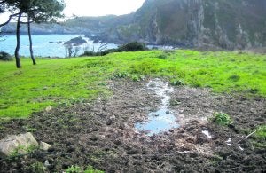 Algunos de los vertidos fecales denunciados en la zona de la Punta del Aguión. ::                             E. C.