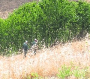 Agentes del Seprona, durante sus investigación en Porley. ::                             AZCÁRATE