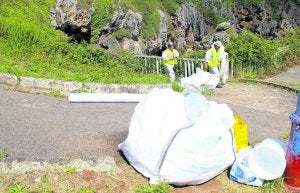 Varias de las bolsas con los residuos retirados ayer tras la limpieza. ::                             P. G.-PUMARINO