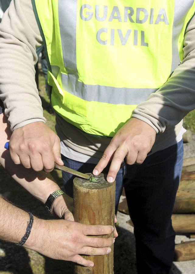Desmantelan el &#039;bosque de Gudaris&#039; que homenajeaba a etarras muertos