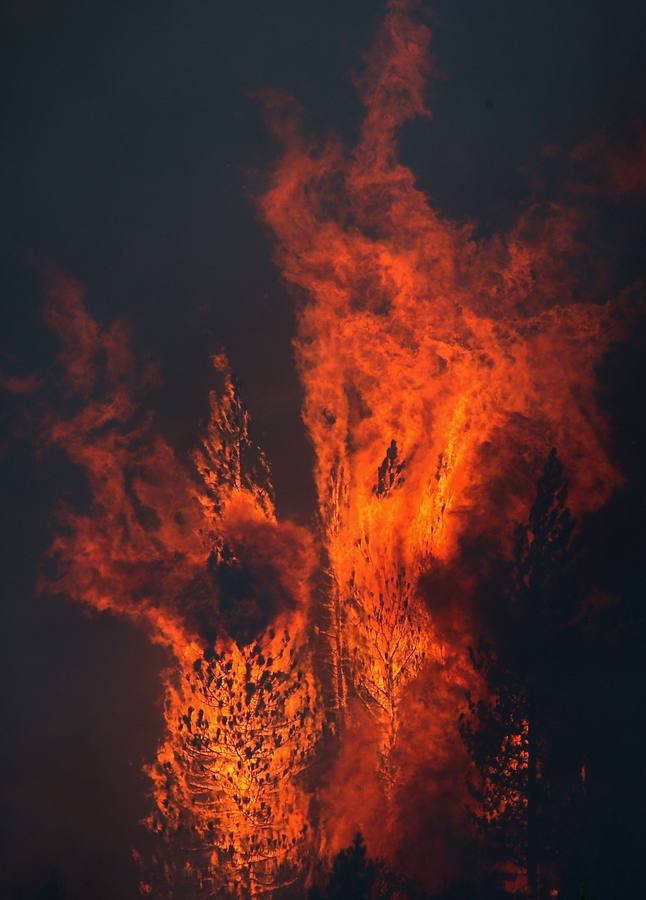 Sacramento en llamas