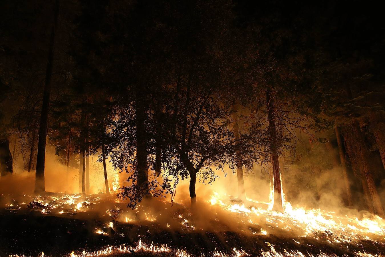 Sacramento en llamas