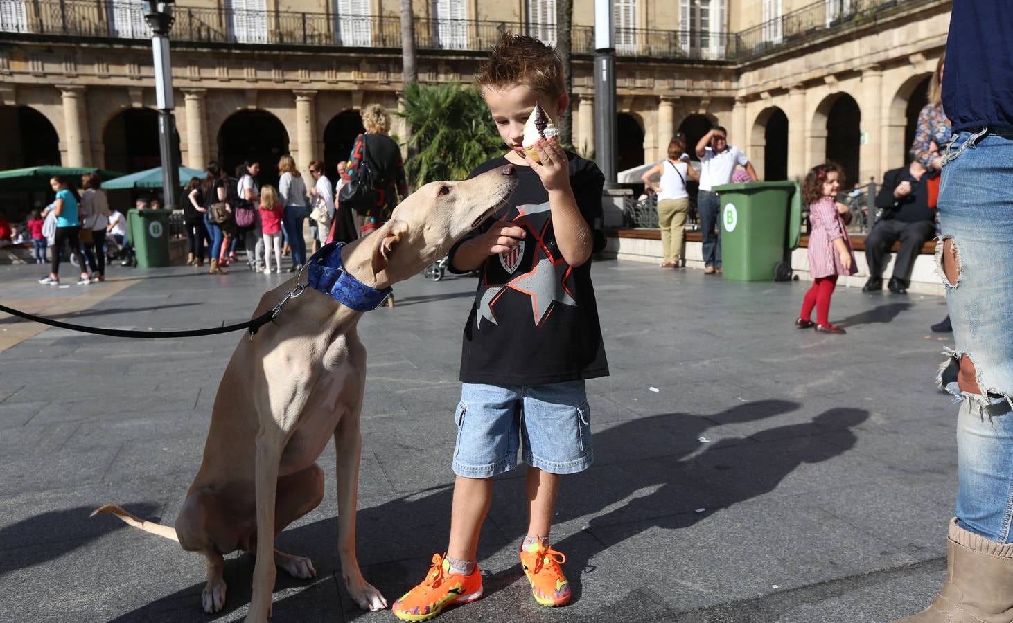 4.000 carolinas contra Sanfilippo