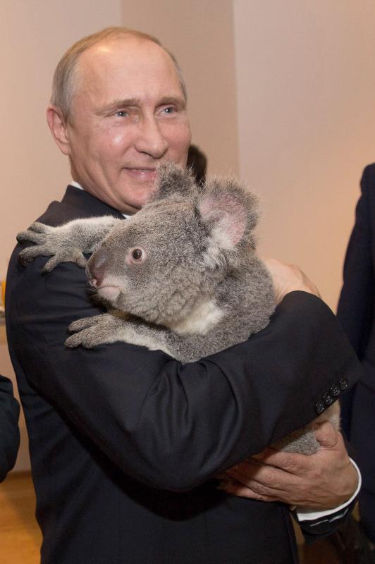 El presidente ruso Vladimir Putin.