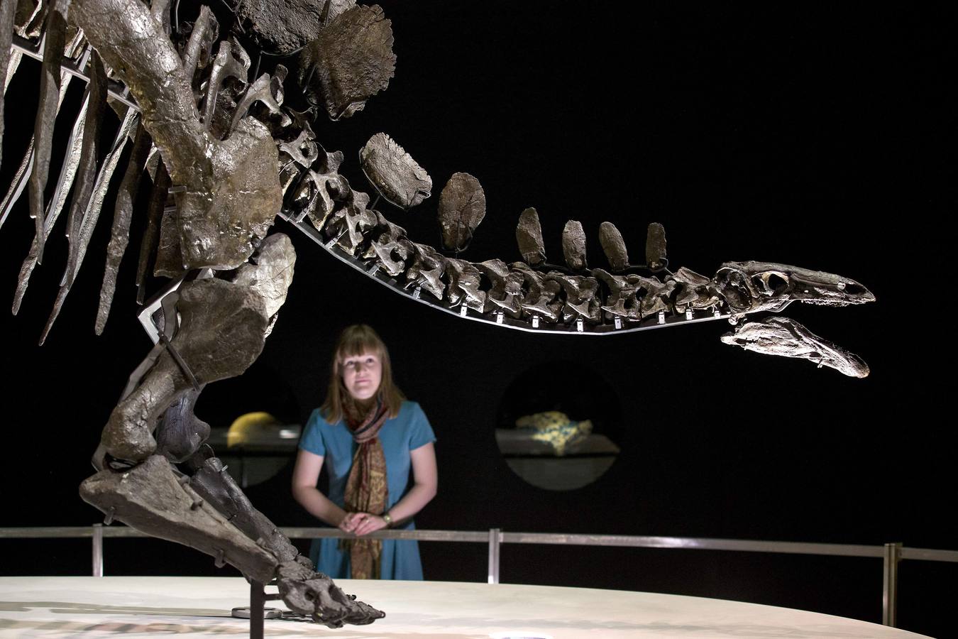 El esqueleto más completo del Stegosaurus