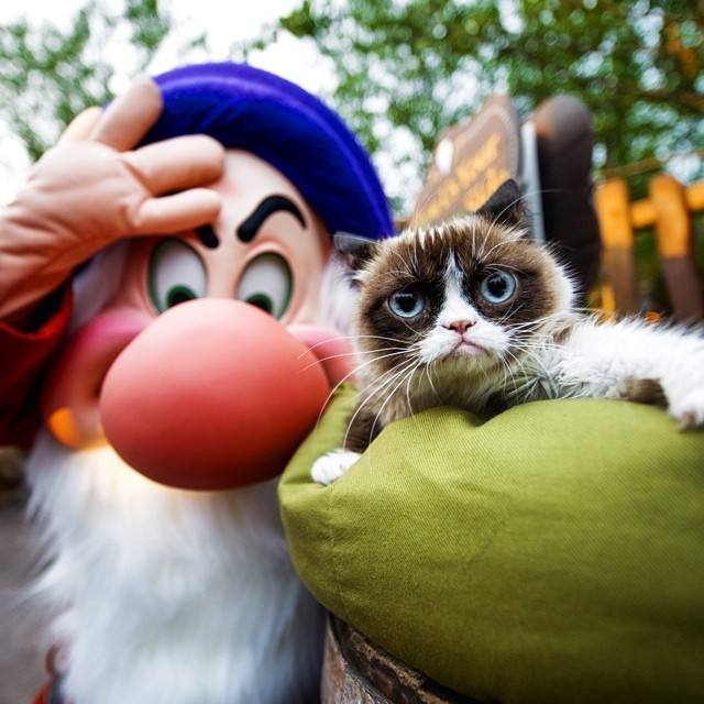 La gata gruñona que hizo que su dueña ganara 80 millones de euros