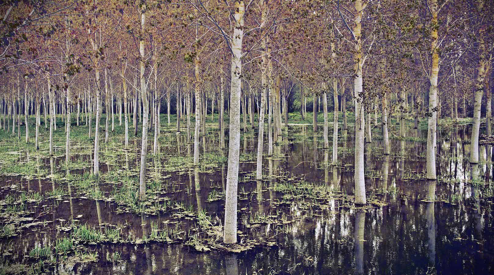 Pantano de Landa. Esta foto ha recibido el tercer premio (250 euros)