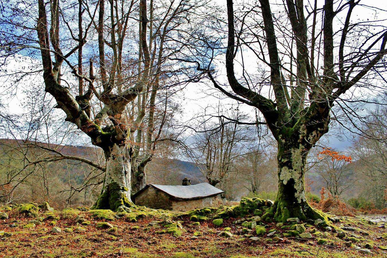 Faldas del Gorbea. 