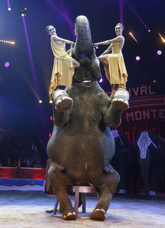 Los elefantes, las estrellas del Festival Internacional de Circo de Montecarlo