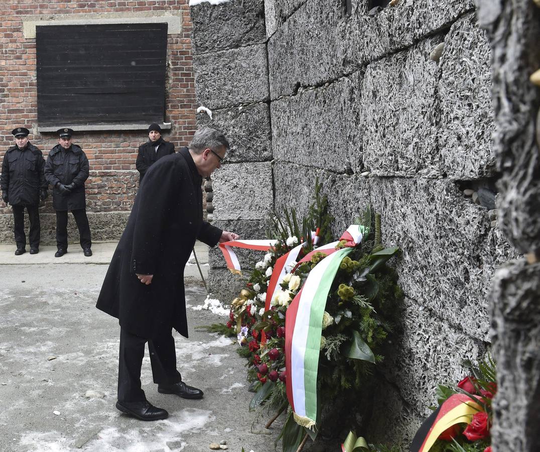 En la ceremonia oficial participan representantes de más de 40 países y unos 300 supervivientes, además de varios presidentes europeos, como el francés François Holande, el alemán Joachin Gauk, el ucraniano Petró Poroshenko y el anfitrión, Bronislaw Komorowski.