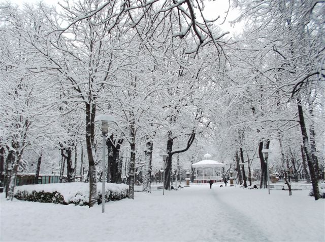 El temporal, visto por los usuarios de elcorreo.com (XI)