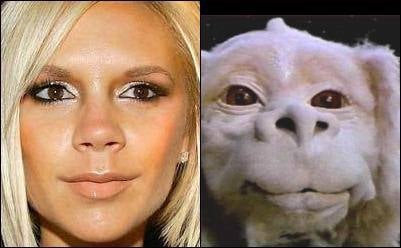 Victoria Beckan y Falcor.