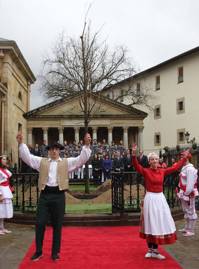 El Árbol de Gernika echa nuevas raíces