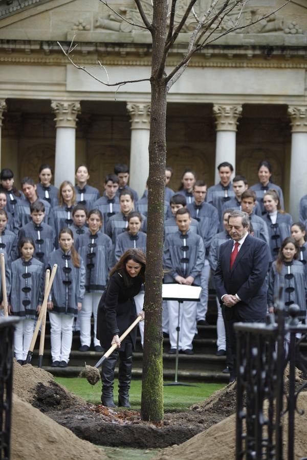 El Árbol de Gernika echa nuevas raíces