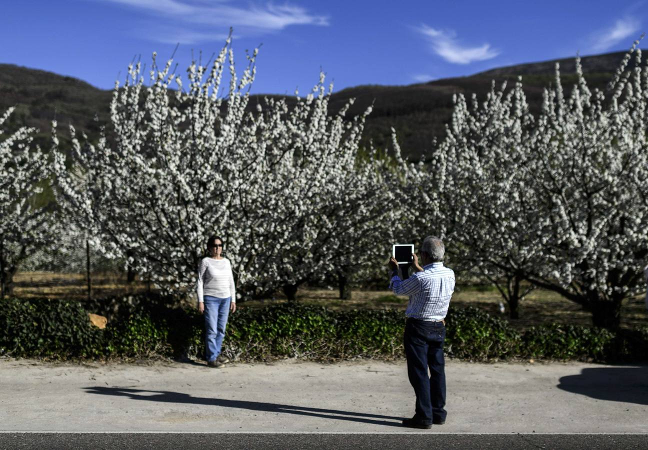 El regalo del Valle de Jerte