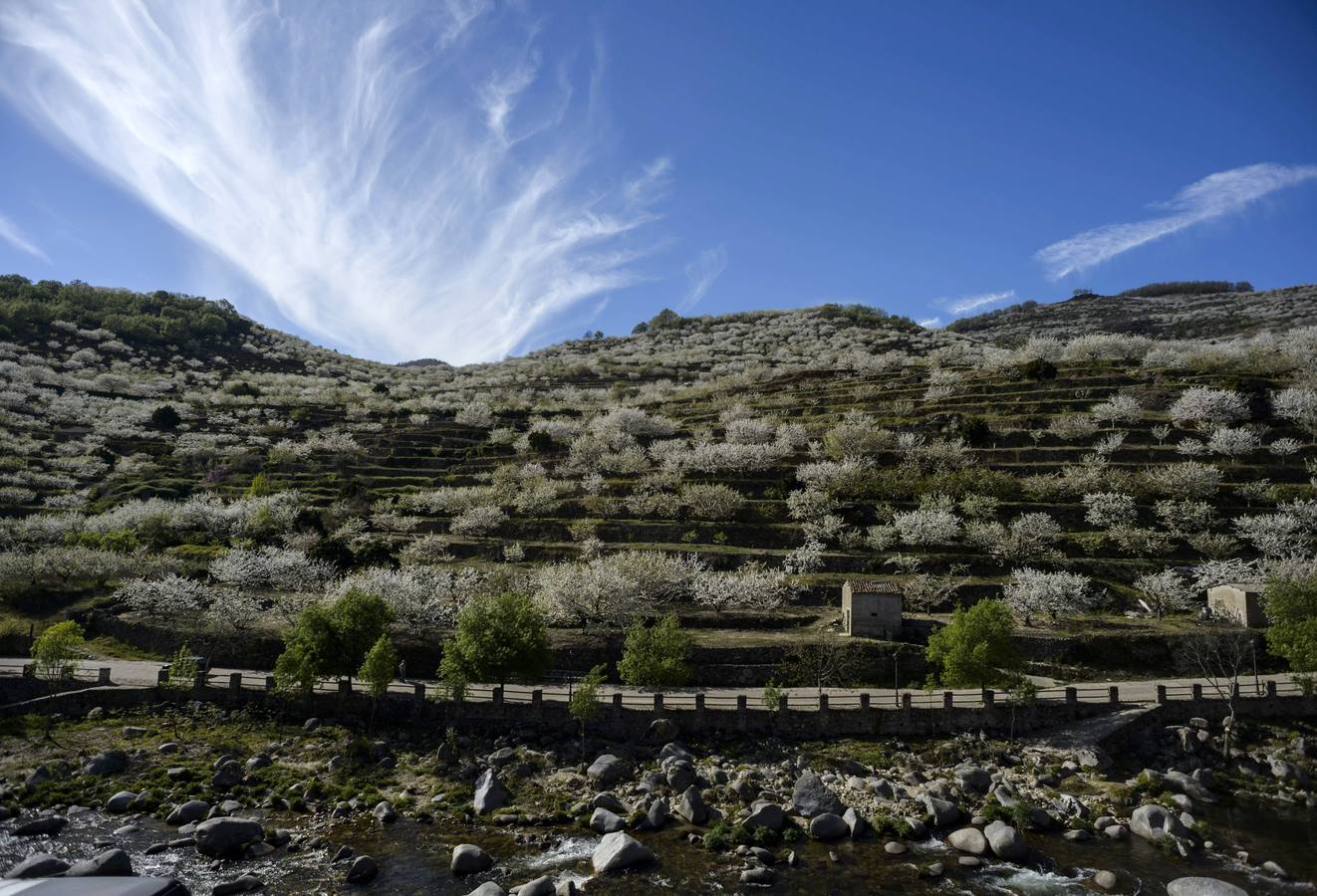 El regalo del Valle de Jerte