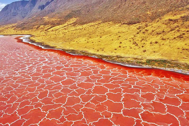 Lago Natron, Tanzania. 