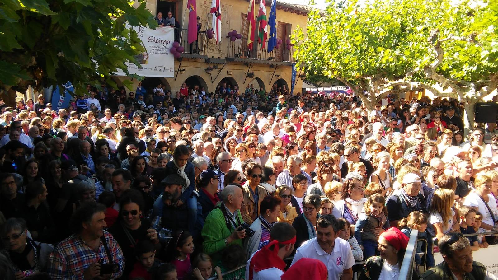 La XXII fiesta de la Vendimia de Rioja Alavesa