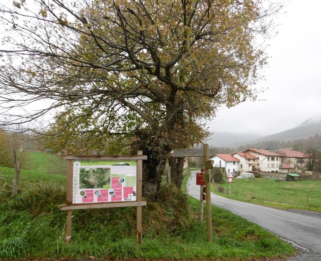 Cruce de Oleta. El barrio a fondo. 