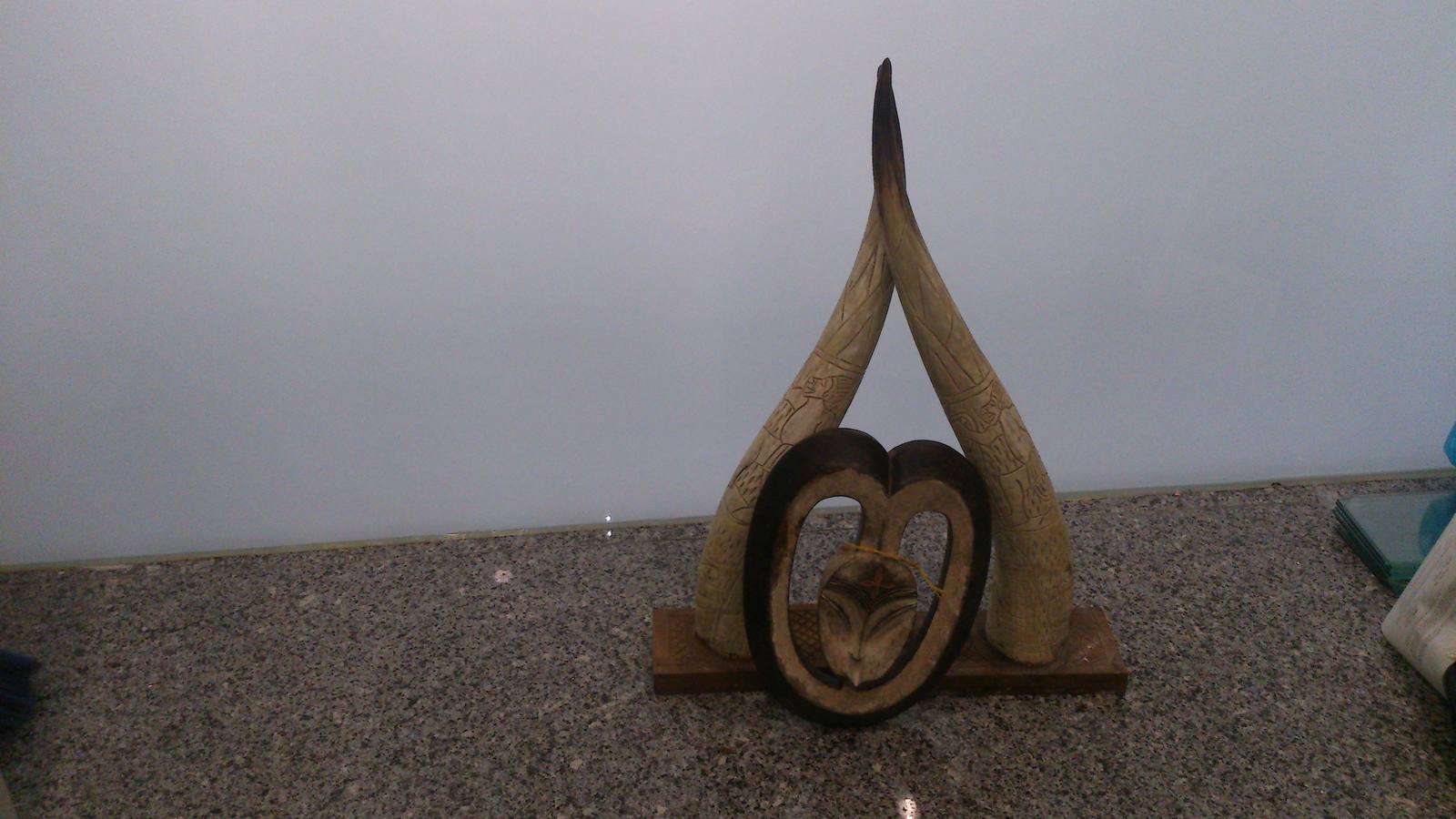 Astas de cebú, procedente de África