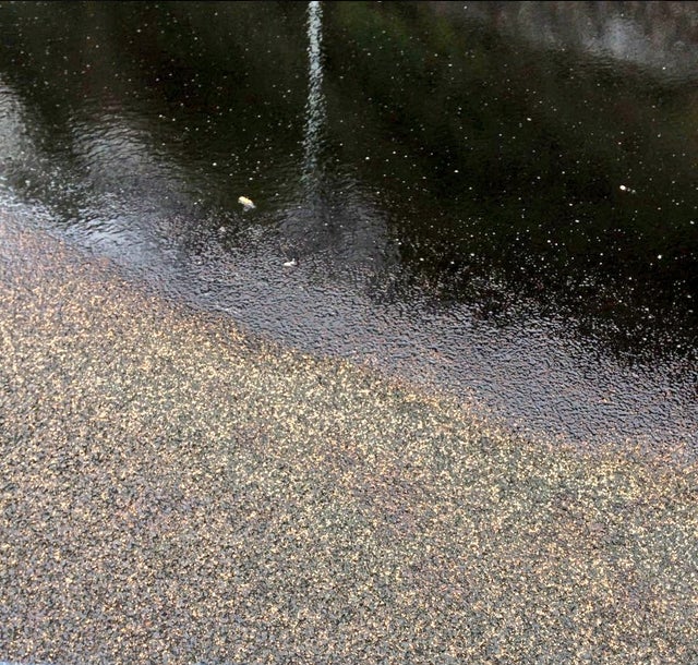 Monumental atasco en la A-8: Un camión cisterna vuelca a la altura de La Peña