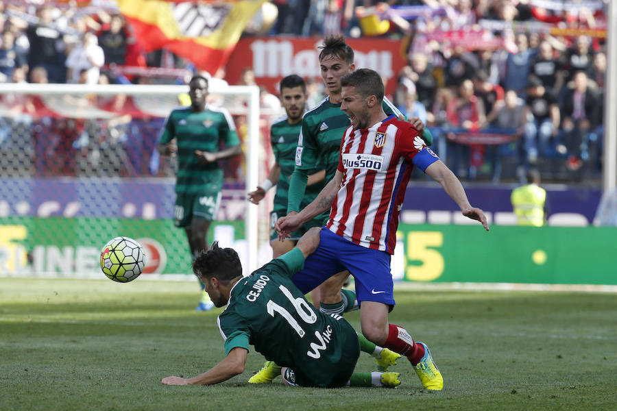 Las mejores imágenes del Atlético de Madrid - Betis