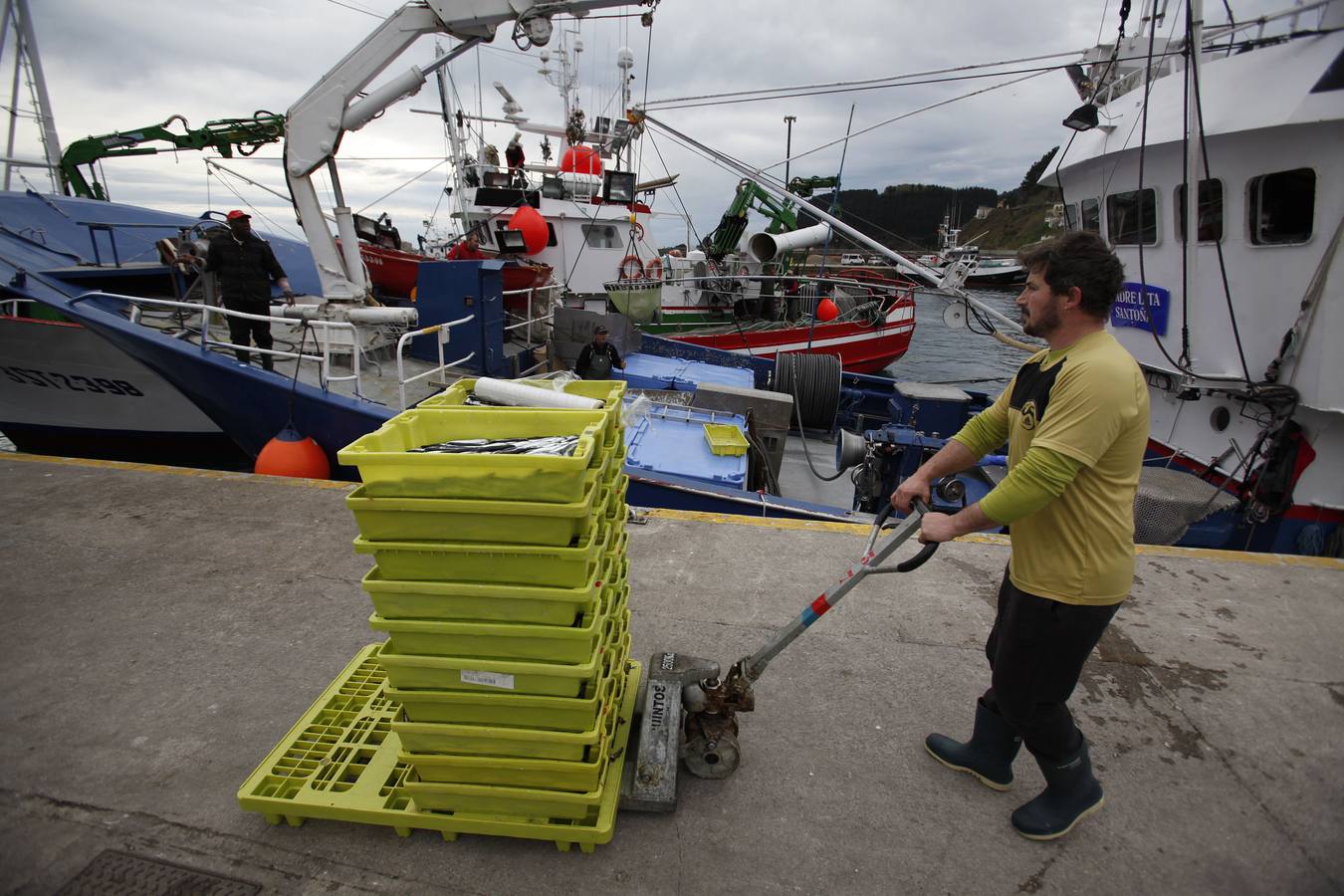 La campaña de la anchoa desborda al puerto de Ondarroa