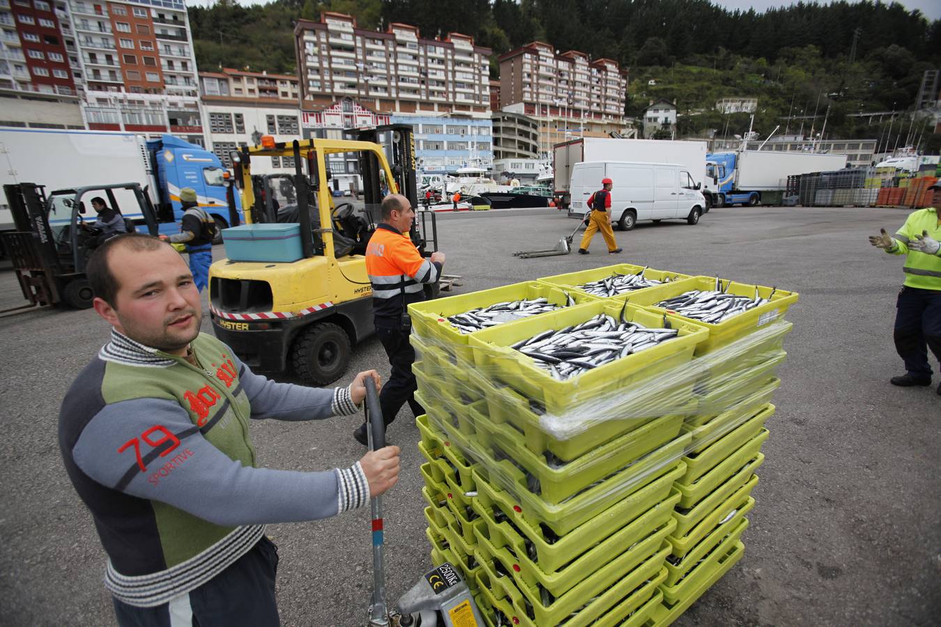 La campaña de la anchoa desborda al puerto de Ondarroa