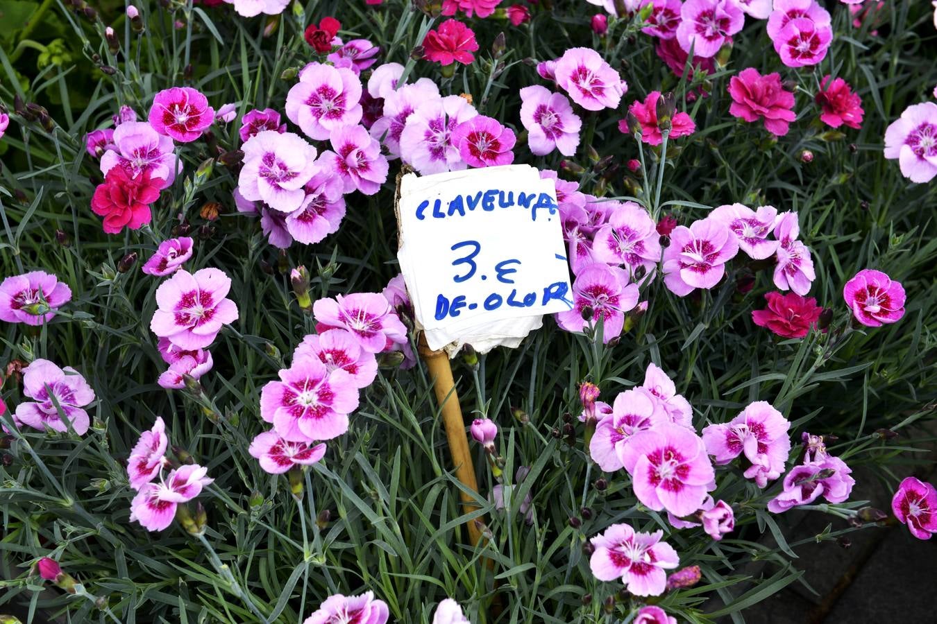Mercado de las flores de El Arenal