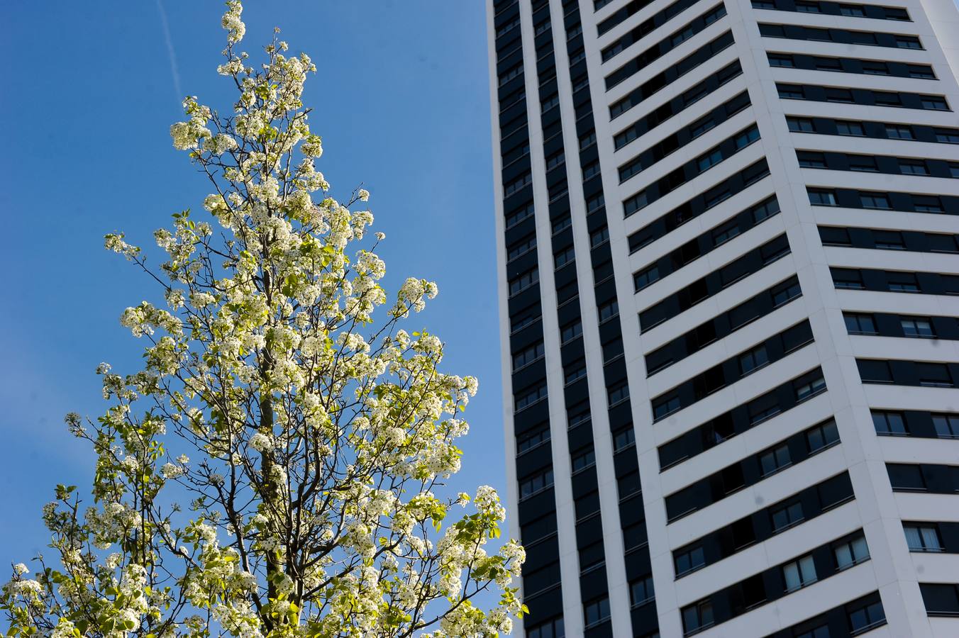 Garrellano, un barrio de Bilbao de altura