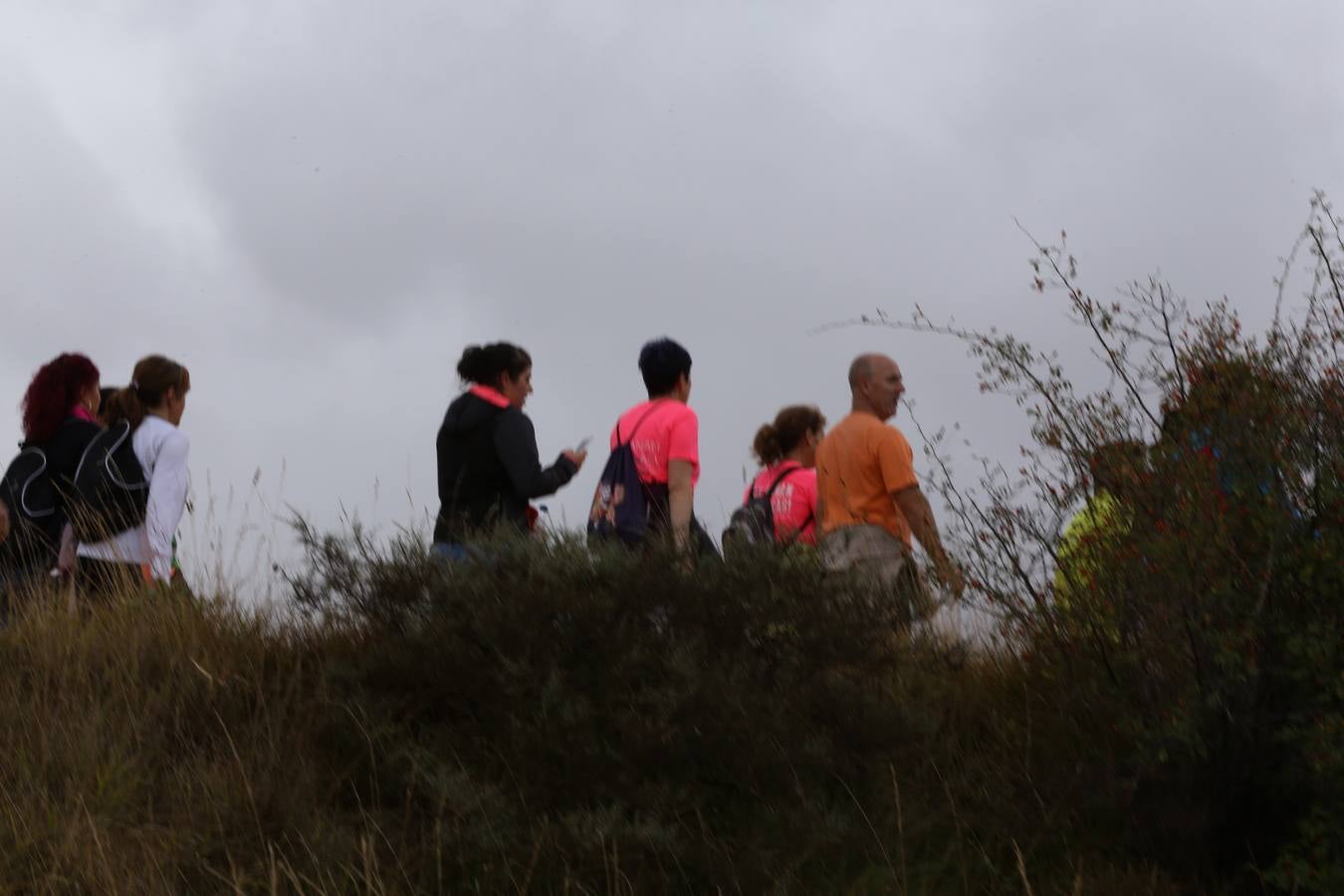 Nueva Marcha Green organizada por EL CORREO