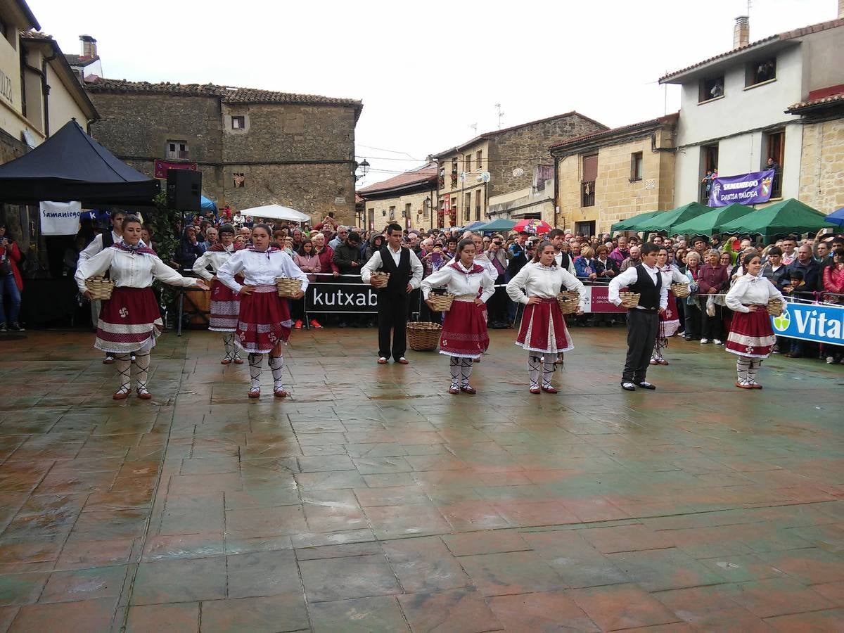 El agua no puede con el vino en Samaniego