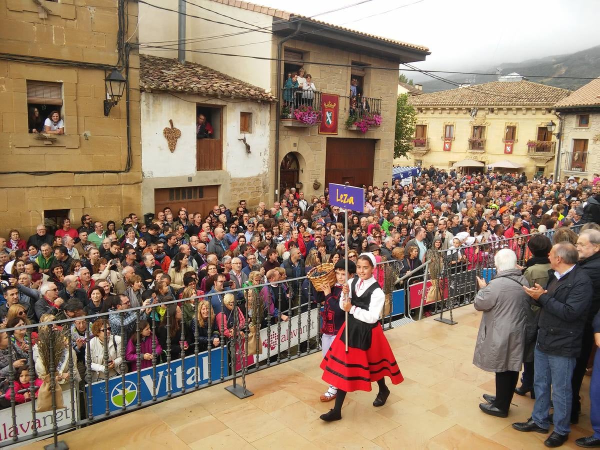 El agua no puede con el vino en Samaniego
