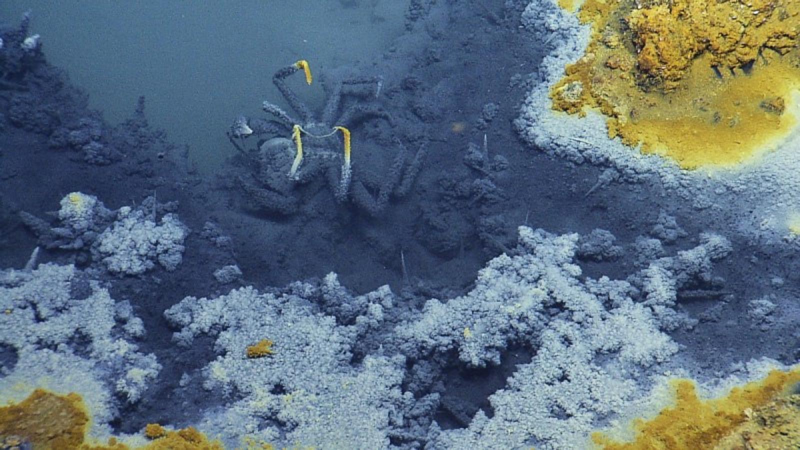 &#039;El jacuzzi de la desesperanza&#039;