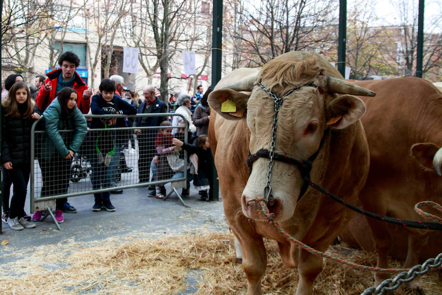 Feria ganadera y agrícola en Leioa