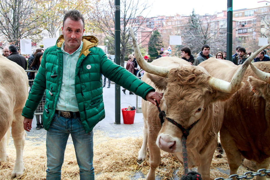 Feria ganadera y agrícola en Leioa